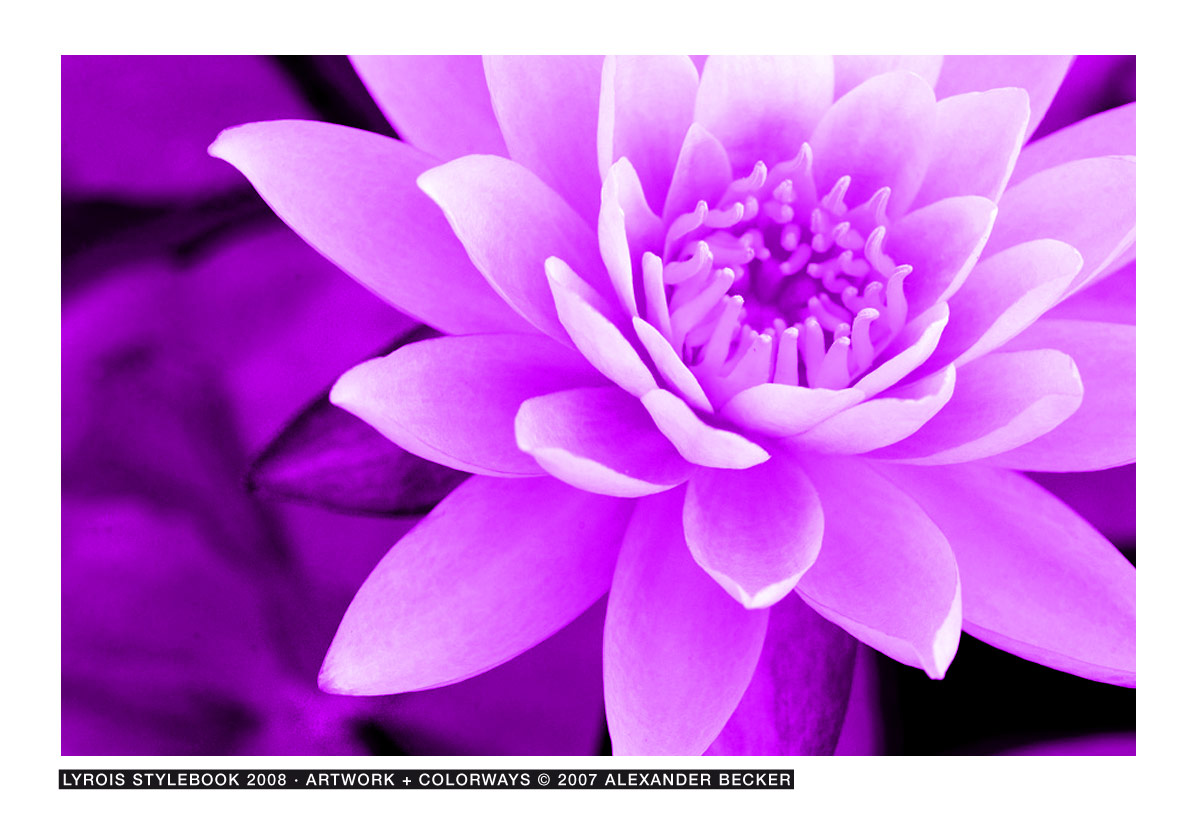 Lyrois: Stylebook S/S 2008: Innocence: Plants, Leaves, Nature, Organic, Delicacy, Moderation.
