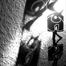 Gobos 2009